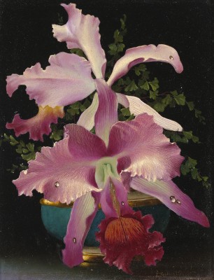 Orchidées